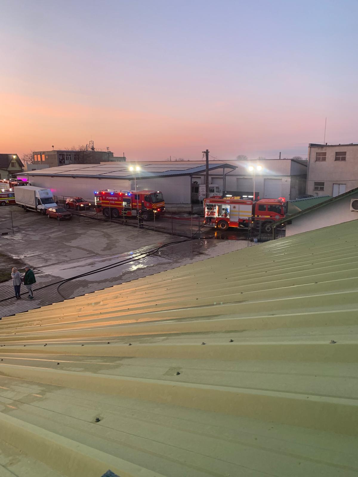 Incendiu în Carei: depozit de lemne cuprins de flăcări