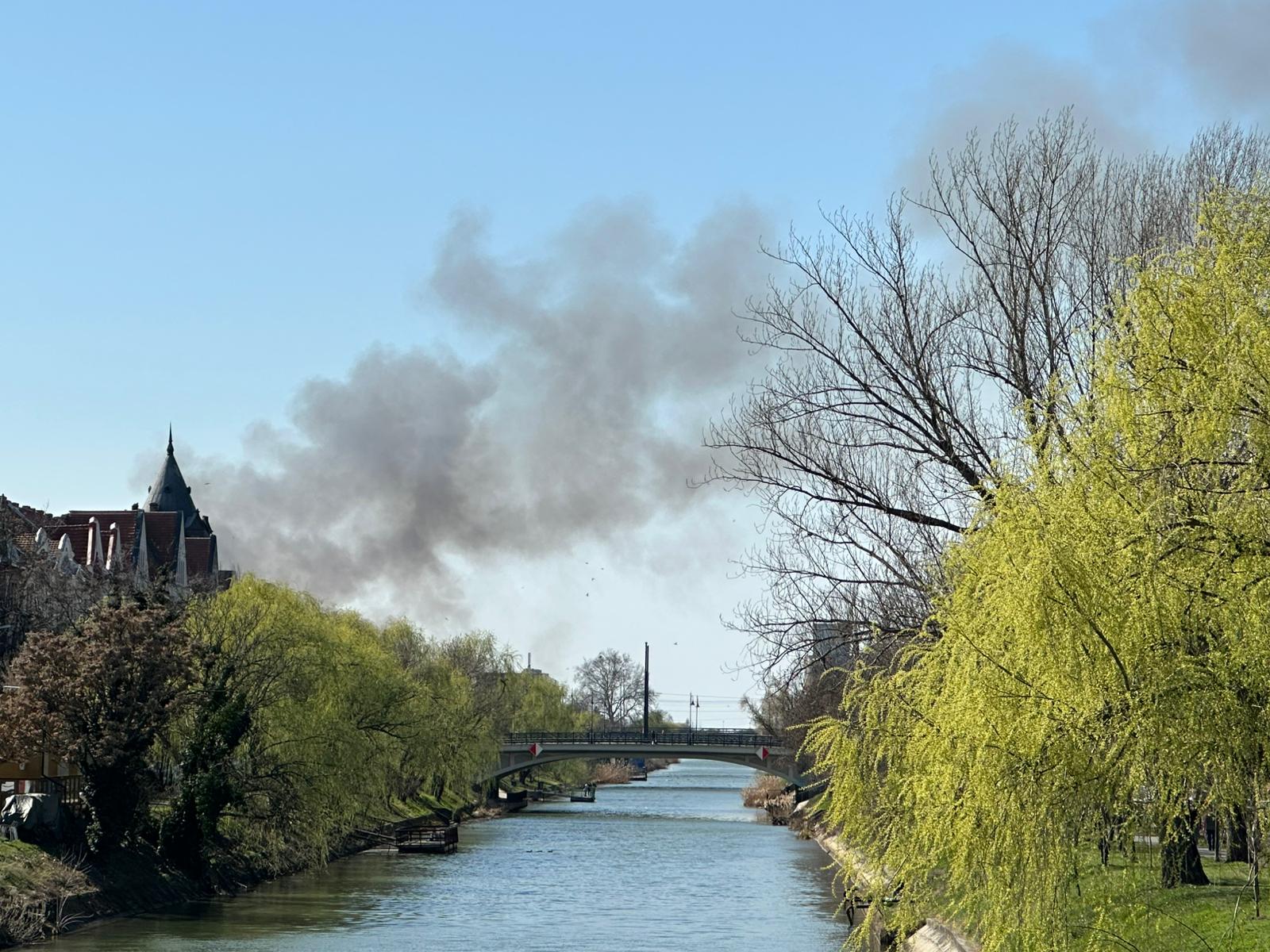Pompierii din Timișoara intervin în aceste momente pentru stingerea unui incendiu izbucnit în zona Freidorf, în apropiere de Liceul Tehnologic Transporturi Auto