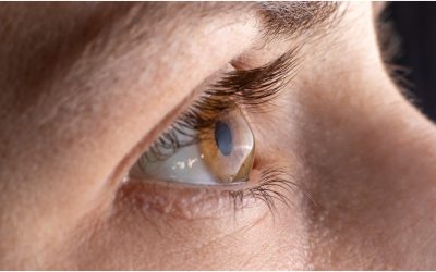 Inovație în medicină: cornee artificială realizată din solzi de pește, o alternativă promițătoare la transplant O descoperire revoluționară în domeniul transplantului ocular promite să schimbe modul în care se tratează afecțiunile grave ale corneei