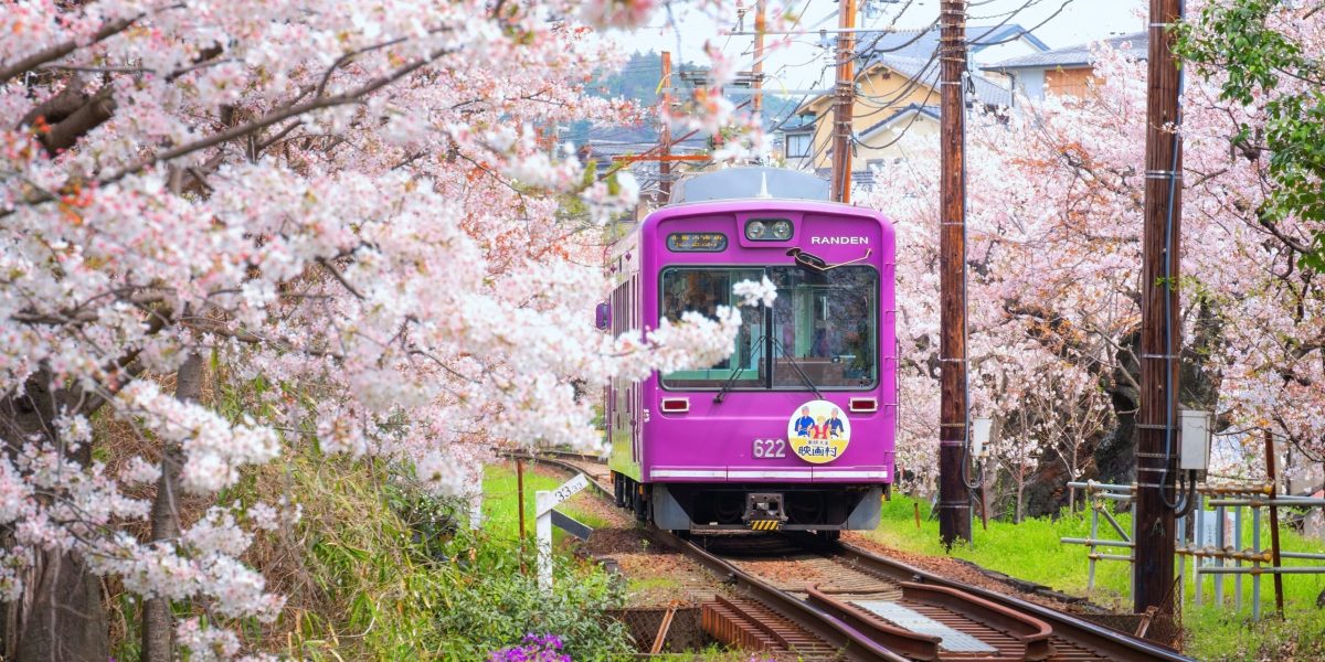Kyoto, orașul japonez recunoscut pentru ospitalitate, majorează taxa turistică pentru a gestiona aglomerația Kyoto, un oras emblematic al Japoniei și una dintre cele mai apreciate destinații turistice din lume, a decis să își crească taxa pentru vizitatori începând cu primul zile ale lunii martie