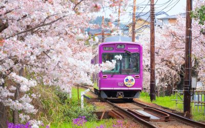 Kyoto, orașul japonez recunoscut pentru ospitalitate, majorează taxa turistică pentru a gestiona aglomerația Kyoto, un oras emblematic al Japoniei și una dintre cele mai apreciate destinații turistice din lume, a decis să își crească taxa pentru vizitatori începând cu primul zile ale lunii martie