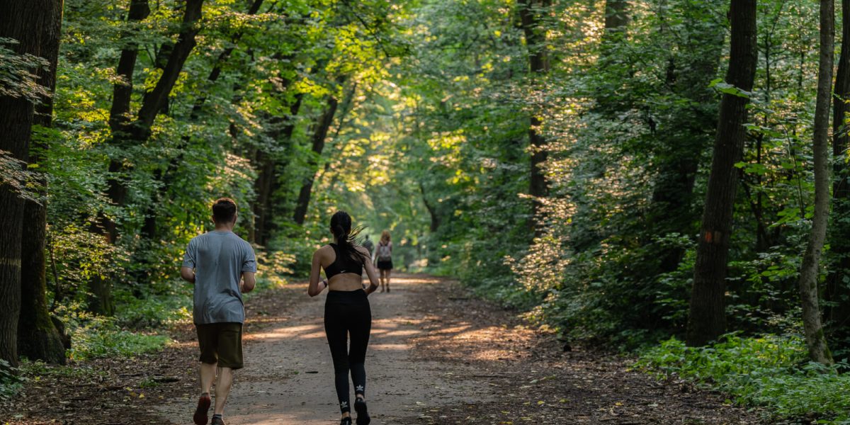 Un pas important pentru conservarea unuia dintre cele mai mari spații verzi din nordul Bucureștiului La sfârșitul lunii martie 2026, Asociația Parcul Natural București a prezentat un studiu menat să schimbe destinul Pădurii Băneasa, una dintre cele mai mari și importante zone verzi de la granița nordică a capitalei