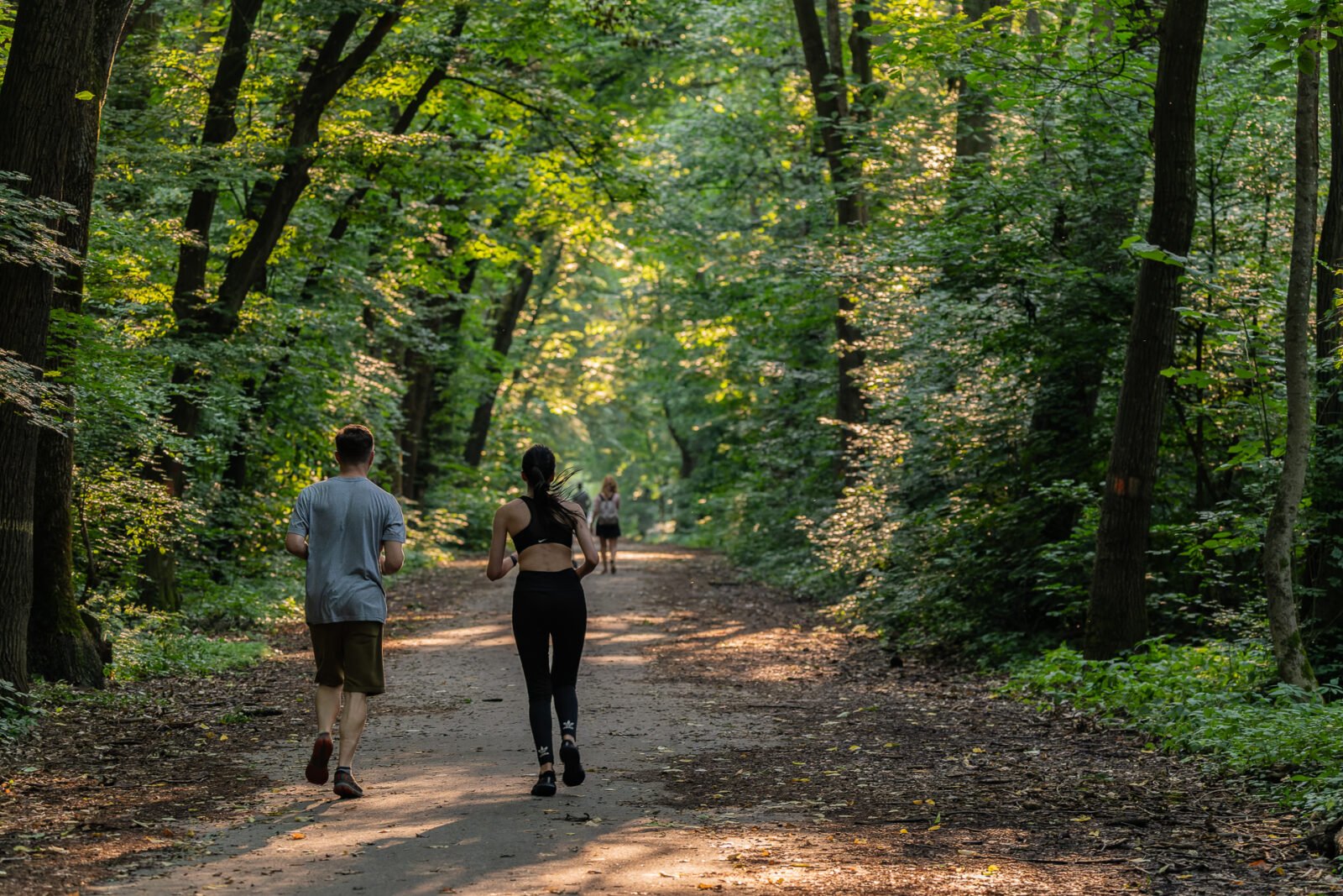 Un pas important pentru conservarea unuia dintre cele mai mari spații verzi din nordul Bucureștiului La sfârșitul lunii martie 2026, Asociația Parcul Natural București a prezentat un studiu menat să schimbe destinul Pădurii Băneasa, una dintre cele mai mari și importante zone verzi de la granița nordică a capitalei