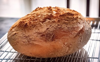 Pâinea coaptă pe foi de varză, o rețetă străveche, revine în prim-planul bucătăriei tradiționale românești, aducând cu sine aroma rustică a vremurilor de altădată