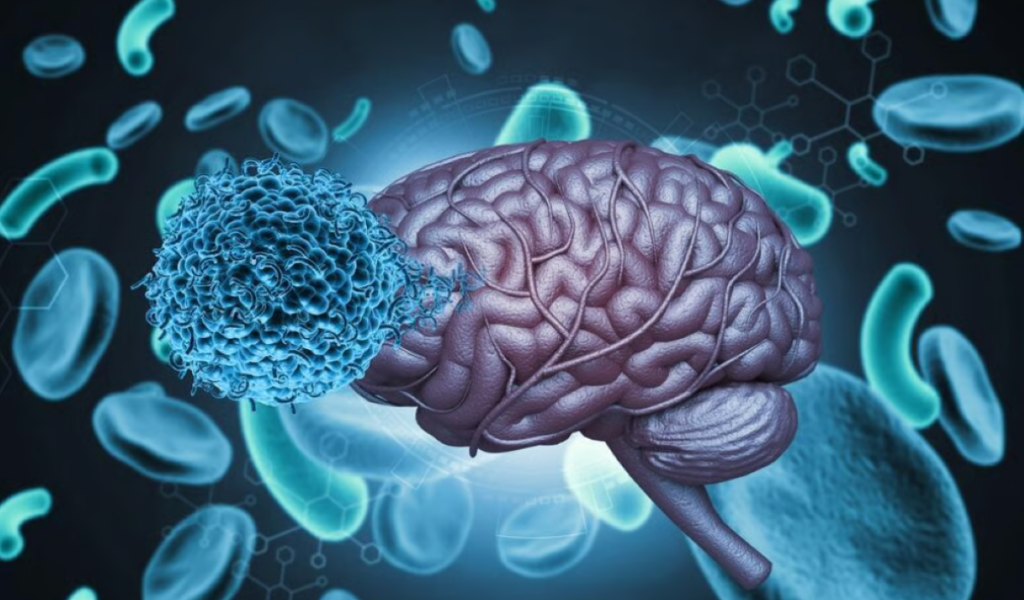 Un parazit microscopic care poate ajunge în creier infectează aproape o treime din populația lumii, însă majoritatea oamenilor nu sunt conștienți de această infecție