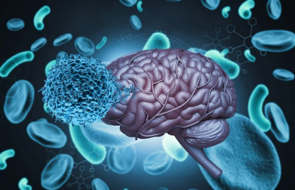 Un parazit microscopic care poate ajunge în creier infectează aproape o treime din populația lumii, însă majoritatea oamenilor nu sunt conștienți de această infecție