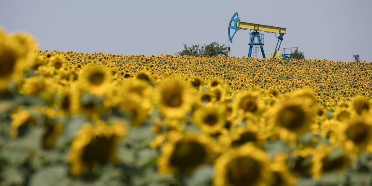 OMV Petrom, cel mai mare producător de petrol și gaze din Europa de Sud-Est, și-a prezentat previziunile financiare pentru anul 2026, într-un context economic marcat de volatilitate pe piața globală a țițeiului