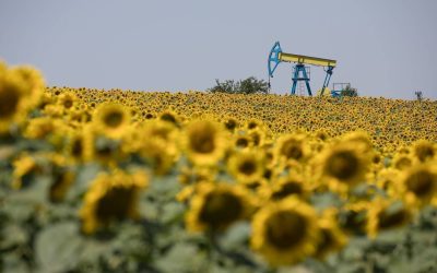 OMV Petrom, cel mai mare producător de petrol și gaze din Europa de Sud-Est, și-a prezentat previziunile financiare pentru anul 2026, într-un context economic marcat de volatilitate pe piața globală a țițeiului