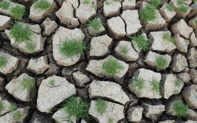 UE lansează un apel pentru experți în strategia privind reziliența apei, în contextul crizei climatice și geopolitice Comisia Europeană a anunțat deschiderea unui apel deschis pentru experți implicați în realizarea unei noi platforme dedicate rezilienței apelor, un pas esențial în direcția implementării strategiei UE pentru gestionarea durabilă și sigură a resurselor hidrice