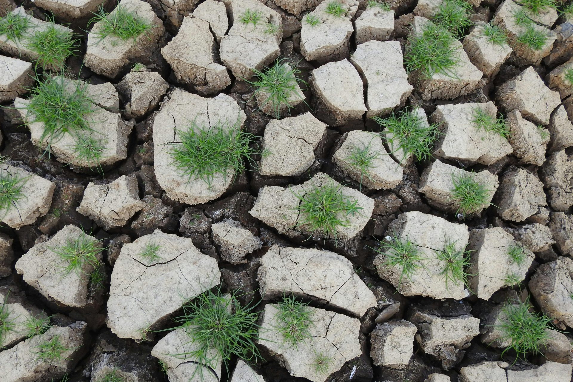 UE lansează un apel pentru experți în strategia privind reziliența apei, în contextul crizei climatice și geopolitice Comisia Europeană a anunțat deschiderea unui apel deschis pentru experți implicați în realizarea unei noi platforme dedicate rezilienței apelor, un pas esențial în direcția implementării strategiei UE pentru gestionarea durabilă și sigură a resurselor hidrice