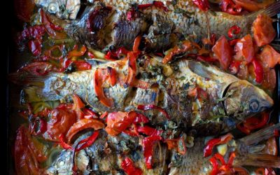 Plachia de crap: rafinament și tradiție în farfuria românească În bucătăria românească, există preparate care nu doar că au rădăcini adânci în cultura culinară, ci și reușesc să păstreze viața tradițiilor de generație în generație