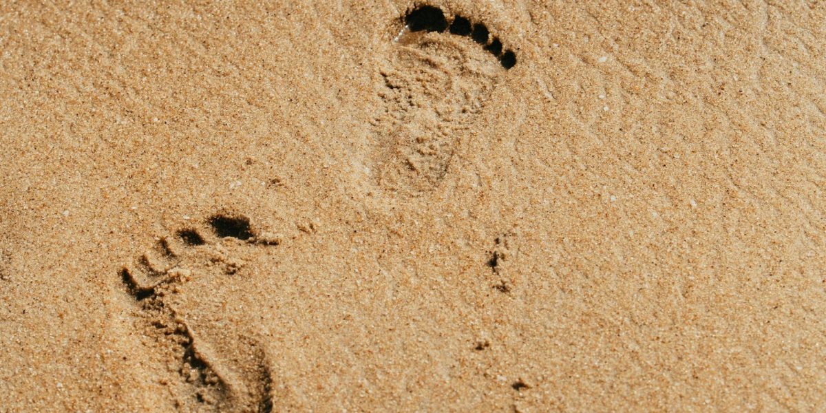 Reforma licitațiilor pentru plaje, o mare schimbare în sistemul public de achiziții Schimbările majore în modul în care sunt atribuite contractele pentru concesiunea plajelor din România au generat atât scepticism, cât și entuziasm, deschizând calea pentru o competiție mai corectă și mai transparentă