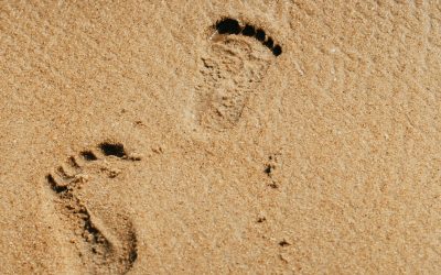 Record de oferte la licitația pentru plajele din Năvodari: 300 deanbieter pentru 58 de subsectoare