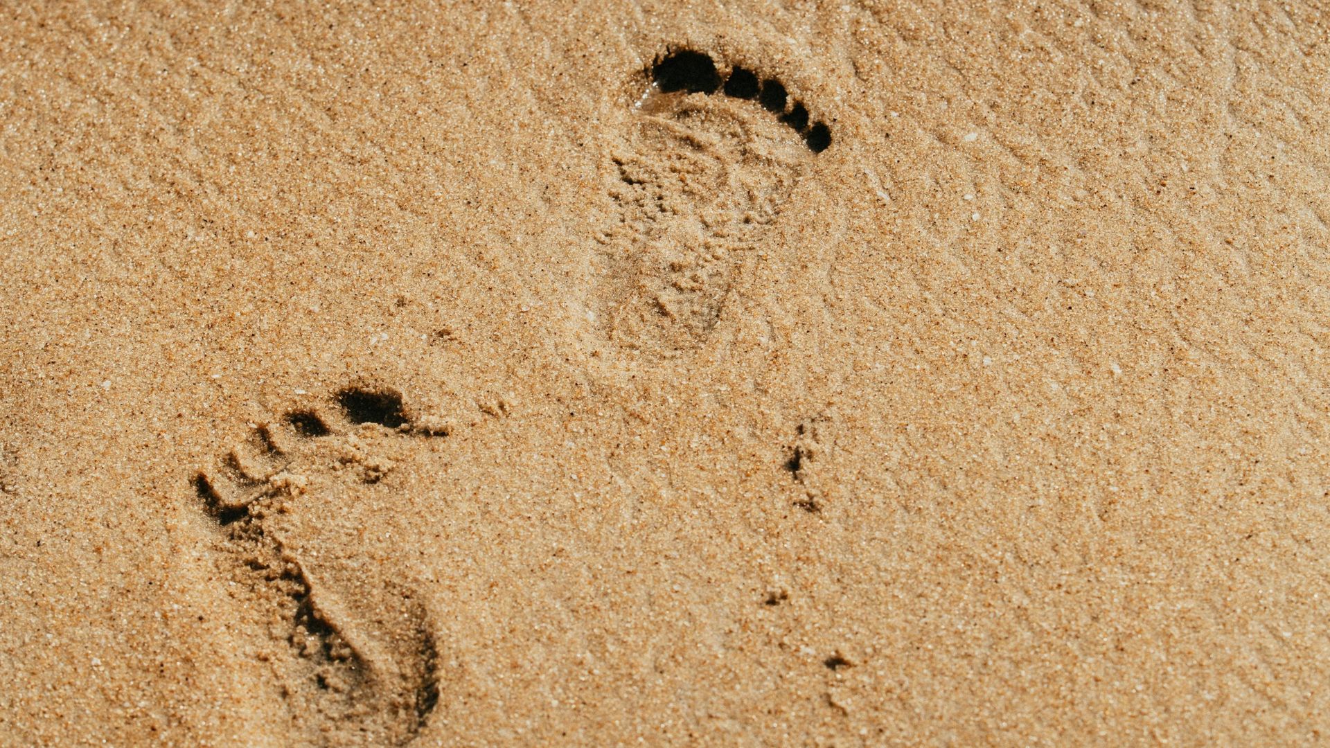 Reforma licitațiilor pentru plaje, o mare schimbare în sistemul public de achiziții Schimbările majore în modul în care sunt atribuite contractele pentru concesiunea plajelor din România au generat atât scepticism, cât și entuziasm, deschizând calea pentru o competiție mai corectă și mai transparentă