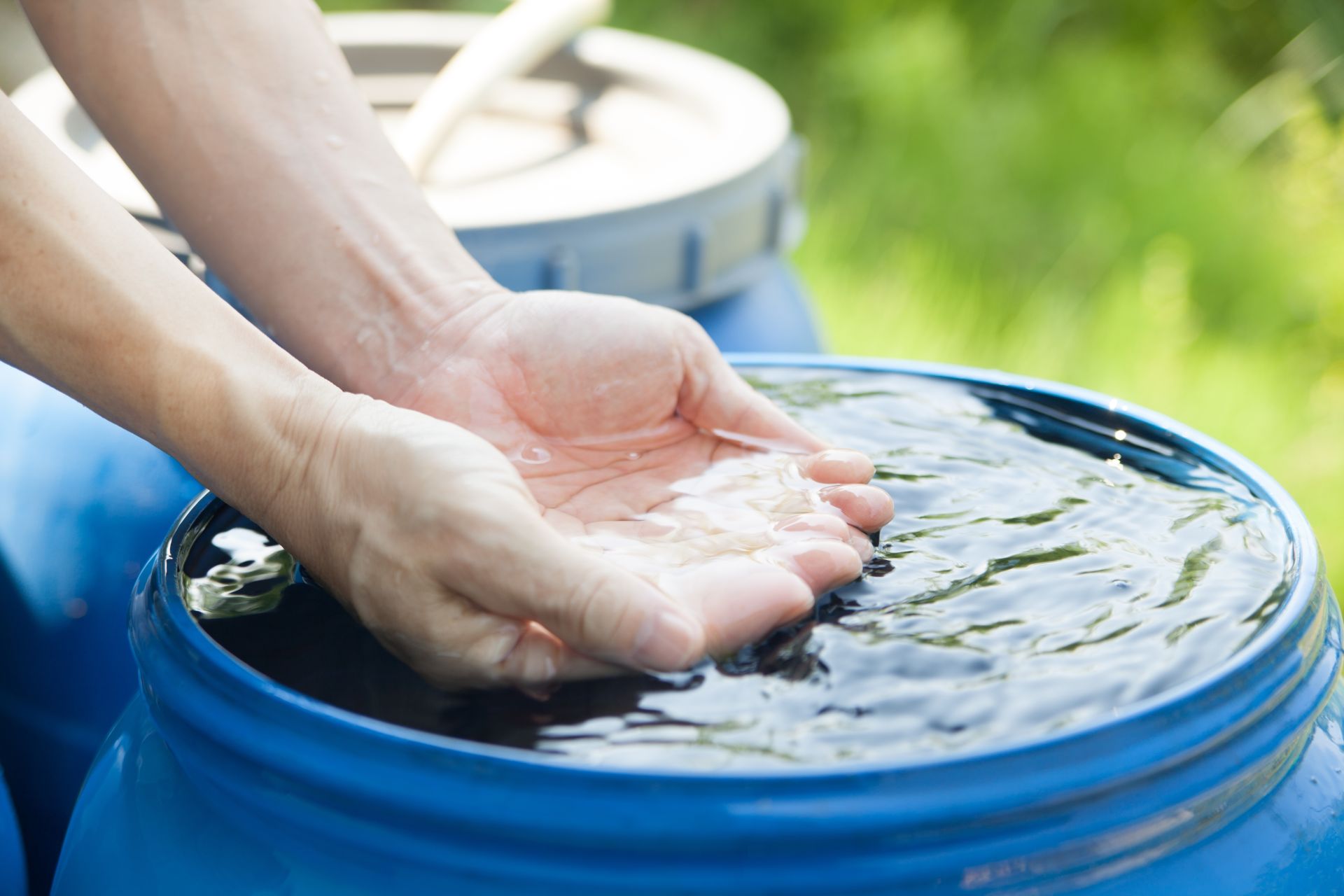 Test de cultură generală: apa de ploaie este potabilă?