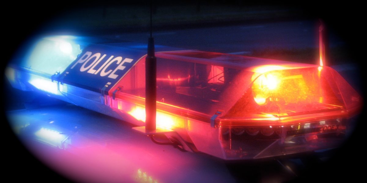 Un incident deosebit de curios din Polonia a atras atenția autorităților locale și a comunității rutiere