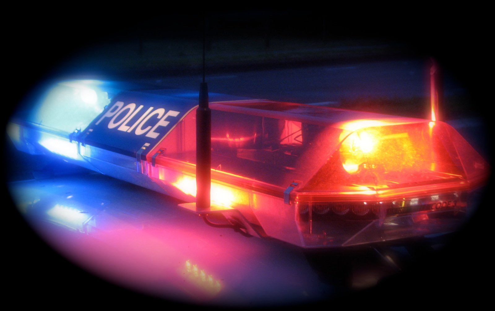 Un incident deosebit de curios din Polonia a atras atenția autorităților locale și a comunității rutiere