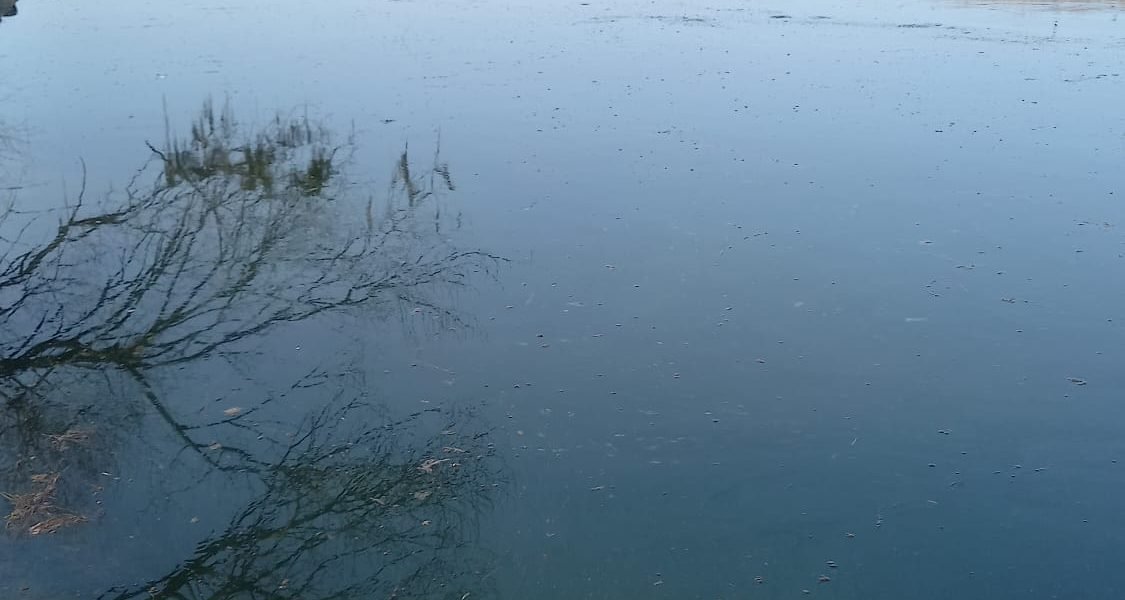 Poluarea râului Nistru devine o provocare majoră pentru Republica Moldova, iar țara vecină, România, a intervenit pentru a oferi sprijin în gestionarea crizei ecologice