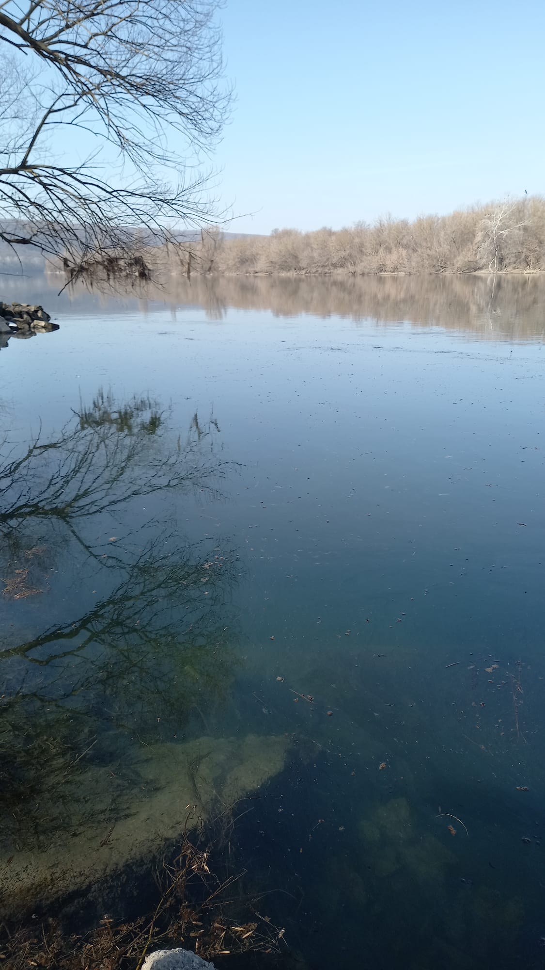 Poluarea râului Nistru devine o provocare majoră pentru Republica Moldova, iar țara vecină, România, a intervenit pentru a oferi sprijin în gestionarea crizei ecologice