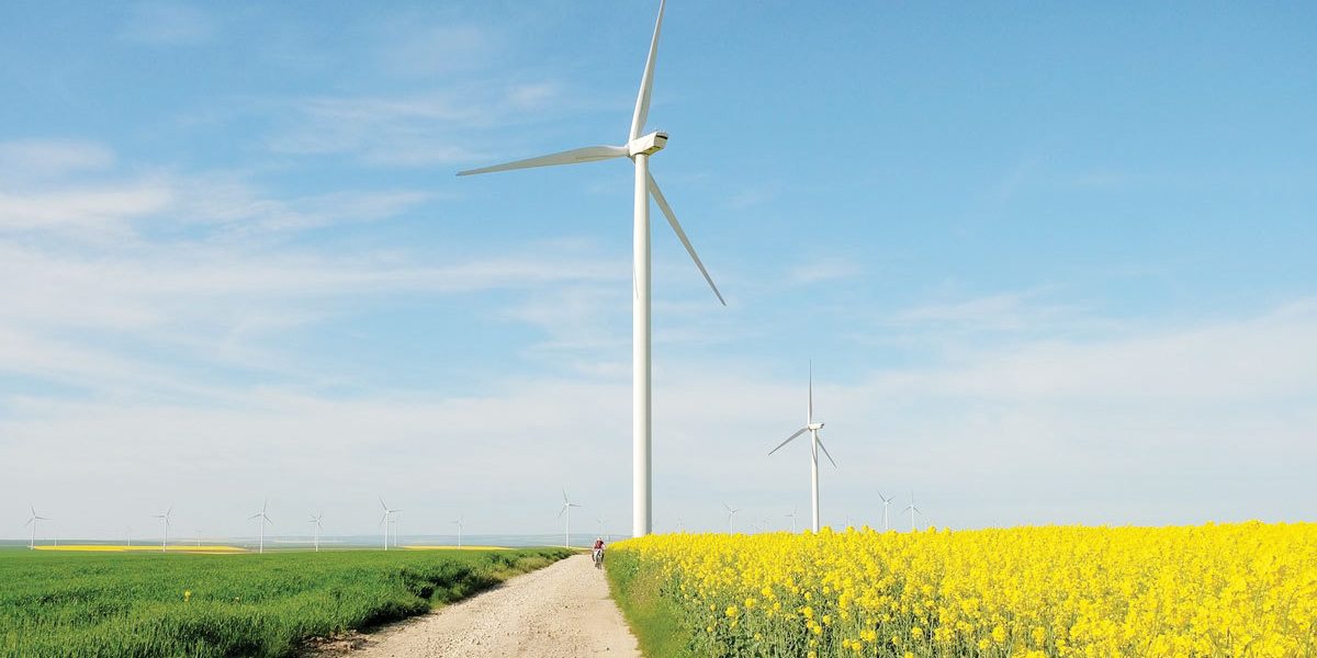 Războiul din Golf scoate la iveală vulnerabilitatea profundă a statelor dependente de importurile de energie Conflictele internaționale recent declanșate în regiunea Golfului au readus în prim-plan vulnerabilitatea statelor dependente de importurile energetice