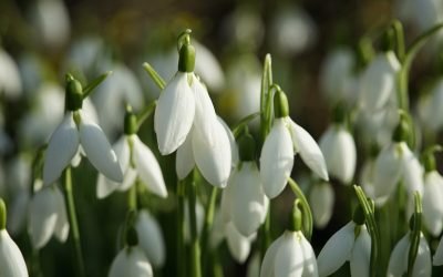 Vremea de Paște: predicții meteo pentru următoarele patru săptămâni