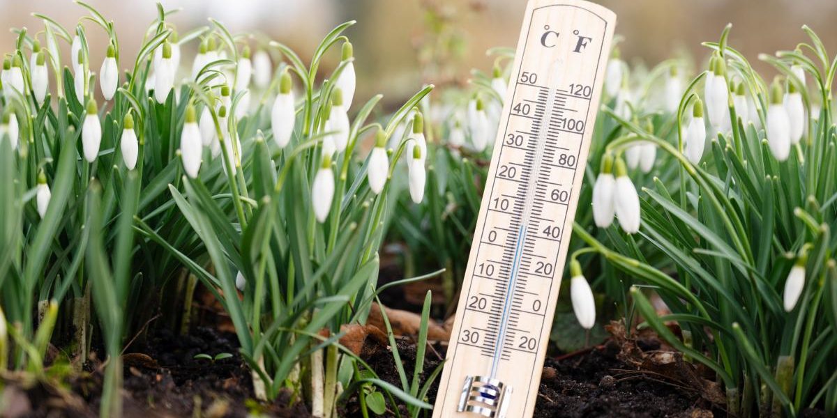 Temperaturi peste medie în București, vreme stabilă în următoarele zile Anunțurile meteorologilor pentru Capitală indică temperaturi relativ ridicate pentru luna martie, cu zile însorite și vânt moderat