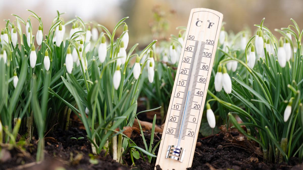 Temperaturi peste medie în București, vreme stabilă în următoarele zile Anunțurile meteorologilor pentru Capitală indică temperaturi relativ ridicate pentru luna martie, cu zile însorite și vânt moderat