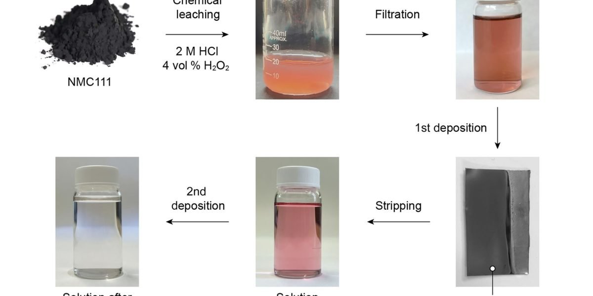 Un ingredient neașteptat din natură, precum acidul tartric, prezent în mod obișnuit în struguri, ar putea revoluționa modul în care recoltăm resursele critice din bateriile uzate