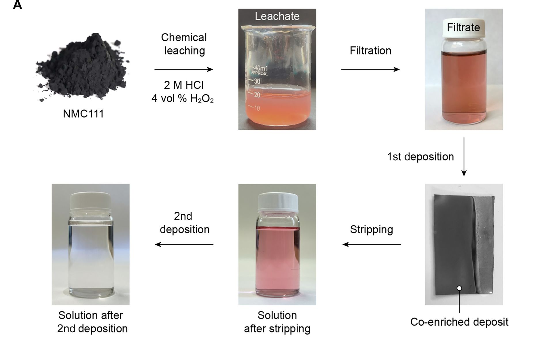 Un ingredient neașteptat din natură, precum acidul tartric, prezent în mod obișnuit în struguri, ar putea revoluționa modul în care recoltăm resursele critice din bateriile uzate