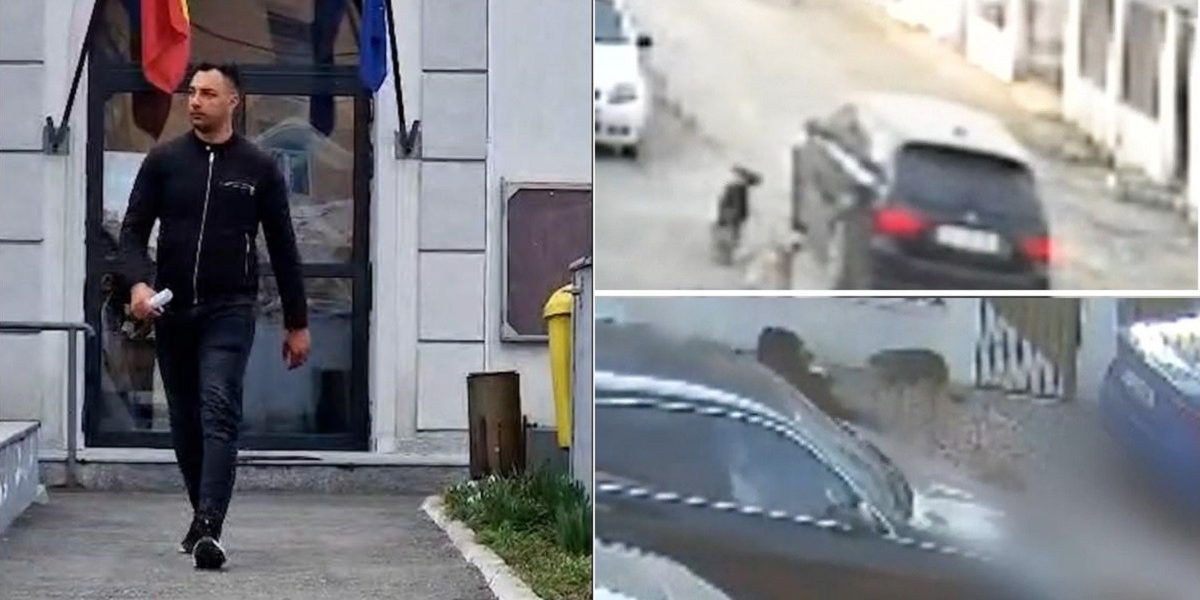 Un subofițer al Armatei Române, Ionuț Bogdan Grozavu, a fost plasat în libertate după o scenă tulburătoare petrecută în Ilfov, în care a fost suspectat că a lovit intenționat un câine cu mașina