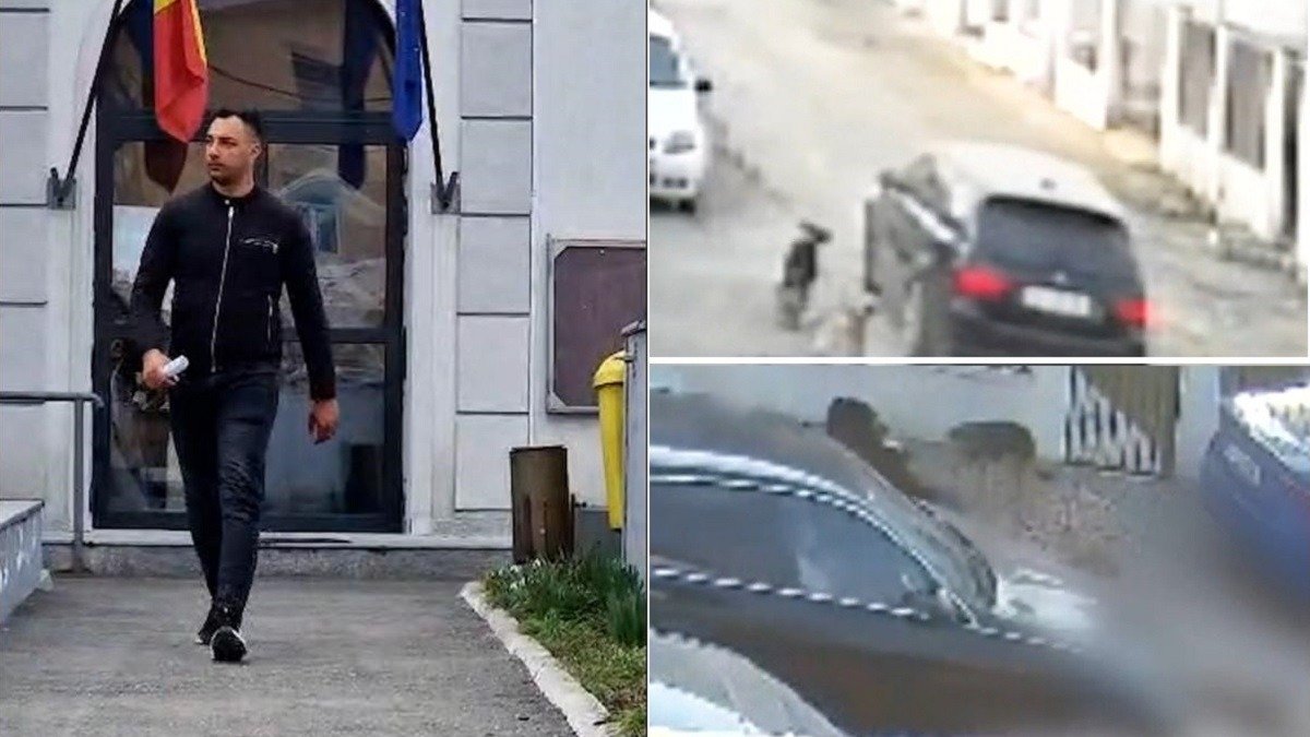 Un subofițer al Armatei Române, Ionuț Bogdan Grozavu, a fost plasat în libertate după o scenă tulburătoare petrecută în Ilfov, în care a fost suspectat că a lovit intenționat un câine cu mașina