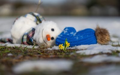 Meteorologii anunță prognoza pentru luna martie: va veni primăvara?