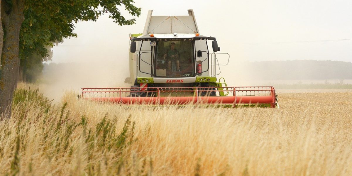 România intenționează să limiteze accesul străinilor la terenurile sale agricole, în încercarea de a contracara fenomenul de terenuri controlate de investitori externi, care a devenit o problemă majoră pentru securitatea alimentară și economia țării
