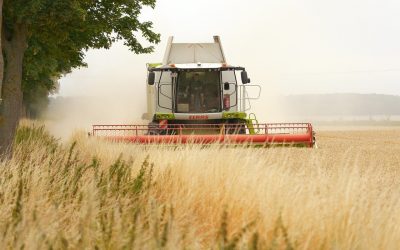 România intenționează să limiteze accesul străinilor la terenurile sale agricole, în încercarea de a contracara fenomenul de terenuri controlate de investitori externi, care a devenit o problemă majoră pentru securitatea alimentară și economia țării