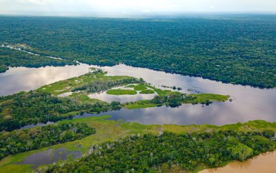 Trib din Amazonia, în pericol de dispariție, primește speranță