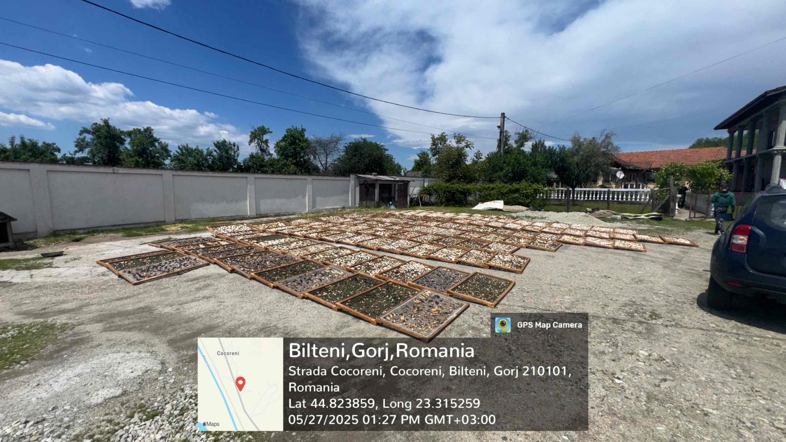 Guvernul continuă lupta contra ilegalităților în domeniul recoltării și comercializării trufelor Autoritățile române, coordonate de Garda Națională de Mediu, împreună cu Agenția Națională de Administrare Fiscală (ANAF) și Inspectoratul General al Poliției Române, au desfășurat anul trecut o acțiune de amploare vizată combaterea ilegalităților în domeniul recoltării și comercializării trufelor și a fructelor de pădure