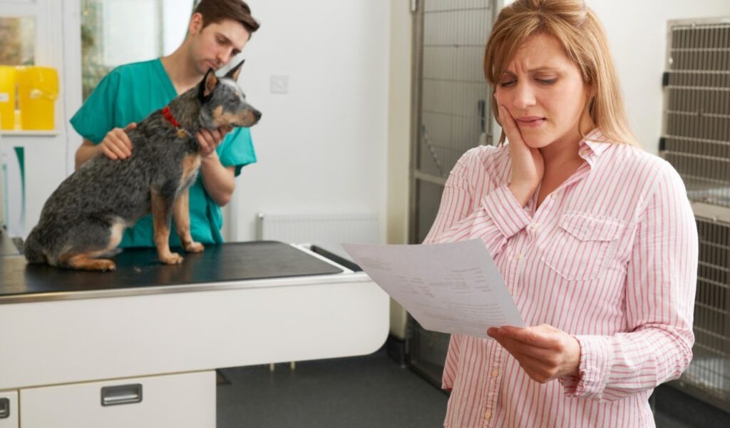 Criza ascunsă din relația dintre proprietarii de animale de companie și sistemul veterinar din SUA ridică semne de întrebare, dar problema devine și mai acută în câmpul vizibil al Europei