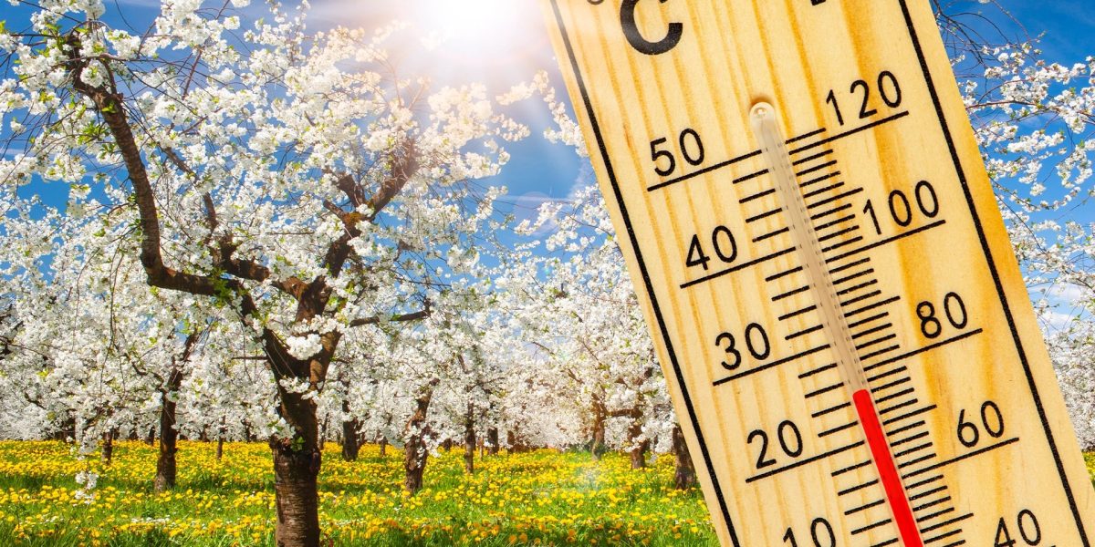 Vremea de Paște din acest an se anunță una capricioasă, cu temperaturi oscilante și episoade de precipitații, în ciuda accentului pe încălzirea generală a aerului în perioada sărbătorilor