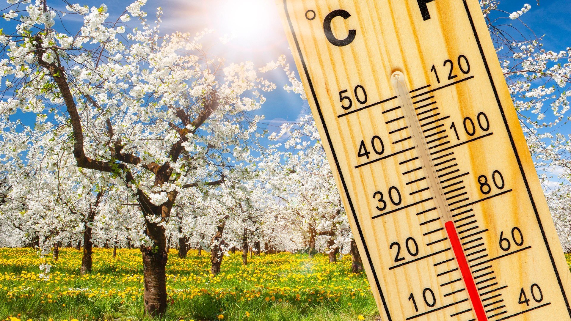 Vremea de Paște din acest an se anunță una capricioasă, cu temperaturi oscilante și episoade de precipitații, în ciuda accentului pe încălzirea generală a aerului în perioada sărbătorilor