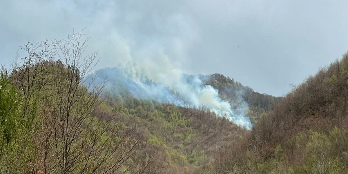 Incendiul de vegetație din apropierea complexului „Două Veverițe” din Lăpușel continuă să fie combatut de echipe de intervenție, pentru a preveni răspândirea și a proteja mediul înconjurător Un incendiu de vegetație uscată și litieră izbucnit în această după-amiază în zona împădurită din apropierea satului Lăpușel a mobilizat forțele de intervenție din cadrul Inspectoratului pentru Situații de Urgență Maramureș