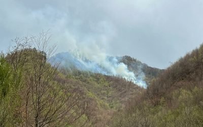 Incendiul de vegetație din apropierea complexului „Două Veverițe” din Lăpușel continuă să fie combatut de echipe de intervenție, pentru a preveni răspândirea și a proteja mediul înconjurător Un incendiu de vegetație uscată și litieră izbucnit în această după-amiază în zona împădurită din apropierea satului Lăpușel a mobilizat forțele de intervenție din cadrul Inspectoratului pentru Situații de Urgență Maramureș