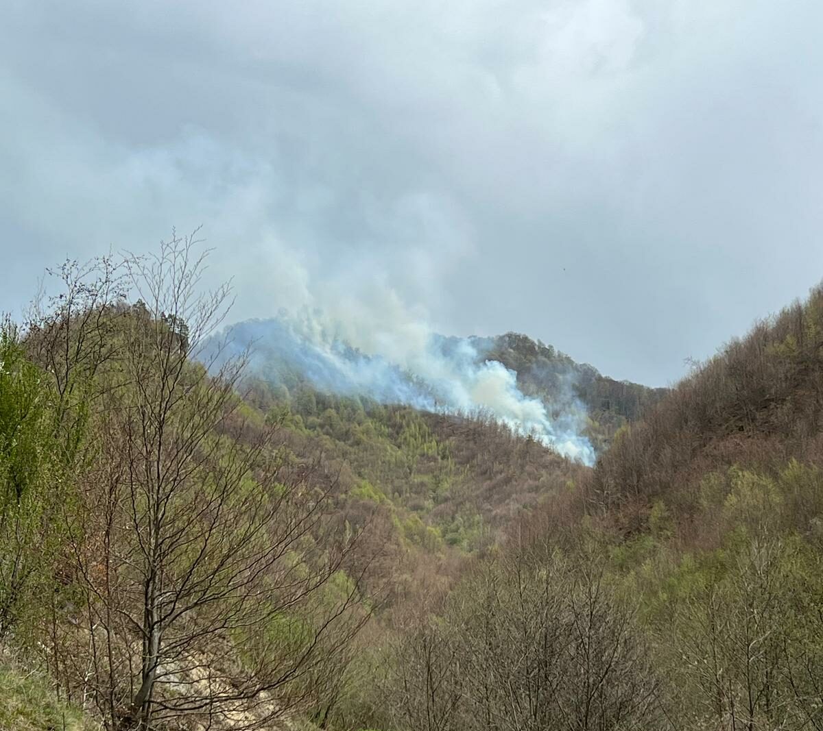 Incendiul de vegetație din apropierea complexului „Două Veverițe” din Lăpușel continuă să fie combatut de echipe de intervenție, pentru a preveni răspândirea și a proteja mediul înconjurător Un incendiu de vegetație uscată și litieră izbucnit în această după-amiază în zona împădurită din apropierea satului Lăpușel a mobilizat forțele de intervenție din cadrul Inspectoratului pentru Situații de Urgență Maramureș