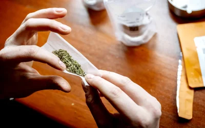 În Sectorul 1 din București, se vor aloca fonduri pentru înființarea unui centru dedicat tinerilor dependenți de droguri, oferind servicii gratuite de asistență