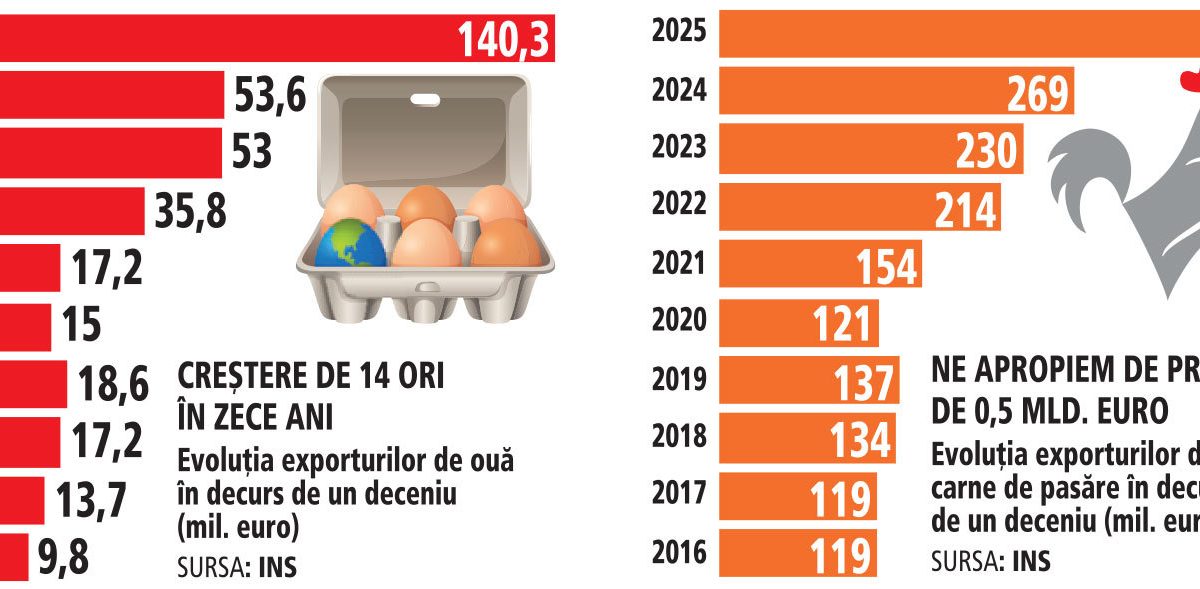 Miza e pe pasăre: România, fermele de sute de milioane și exporturi record