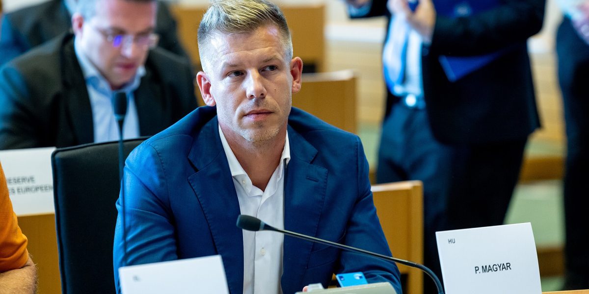 Peter Magyar, de la idolul Orban la rivalul care l-a zdrobit în alegeri