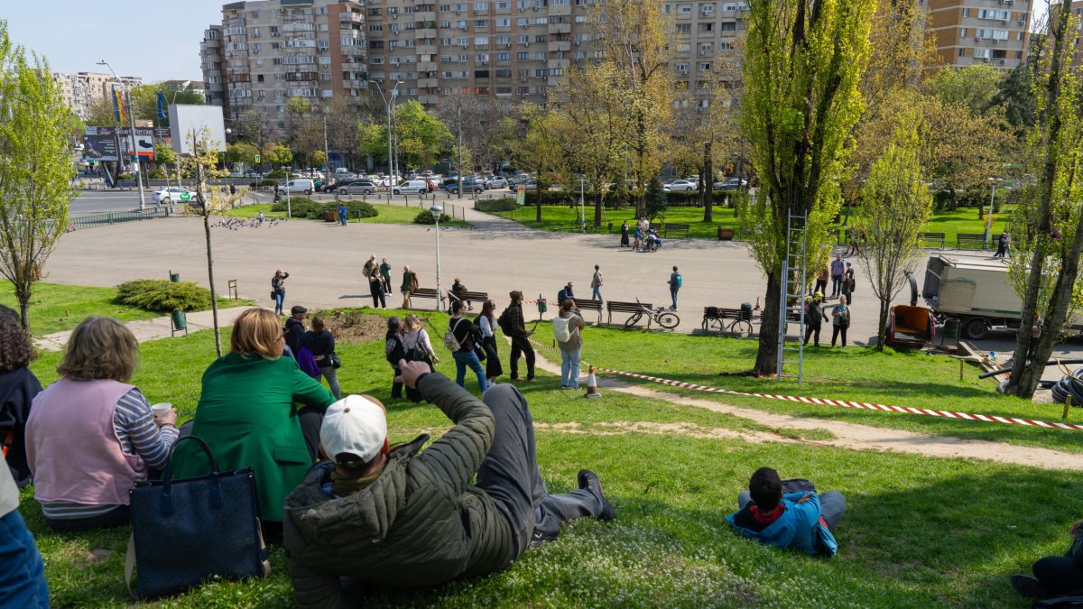 Arborii din Parcul Tineretului, în pericol: Cum salvează specialiștii plopii bătrâni?