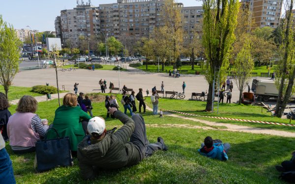 Arborii din Parcul Tineretului, în pericol: Cum salvează specialiștii plopii bătrâni?