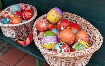 Mâncăm miel și ouă cu diabet? Dr. Sorina Ispas dă verdictul.