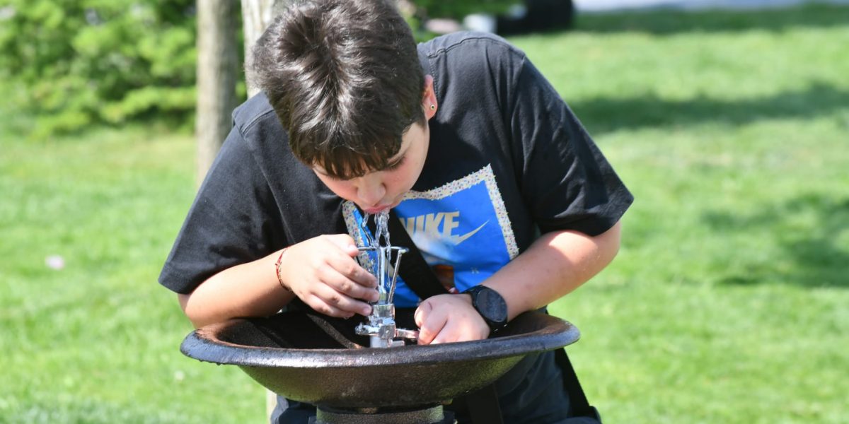 Primăria Sectorului 6 va plăti peste 80.000 de euro unei firme cu un singur angajat pentru mentenanța cișmelelor, conform datelor din SEAP