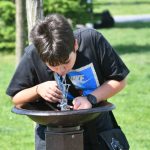 O firmă cu un angajat, plătită regește în Sectorul 6 pentru cișmele